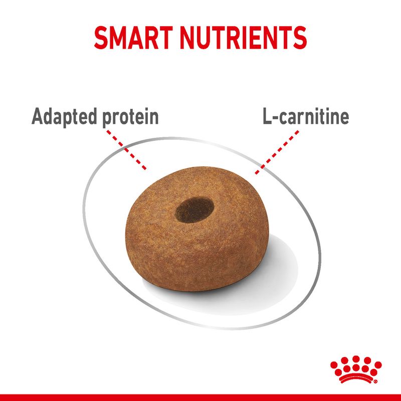 Royal Canin Maxi Light Weight Care || Royal Canin Care Nutrition || view 6