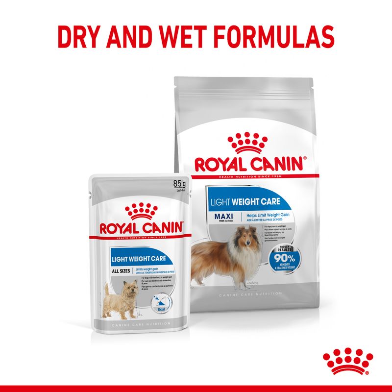 Royal Canin Maxi Light Weight Care || Royal Canin Care Nutrition || view 5