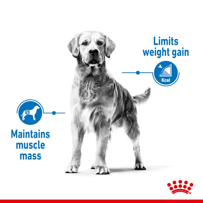 Royal Canin Medium Light Weight Care || Royal Canin Care Nutrition || view 6
