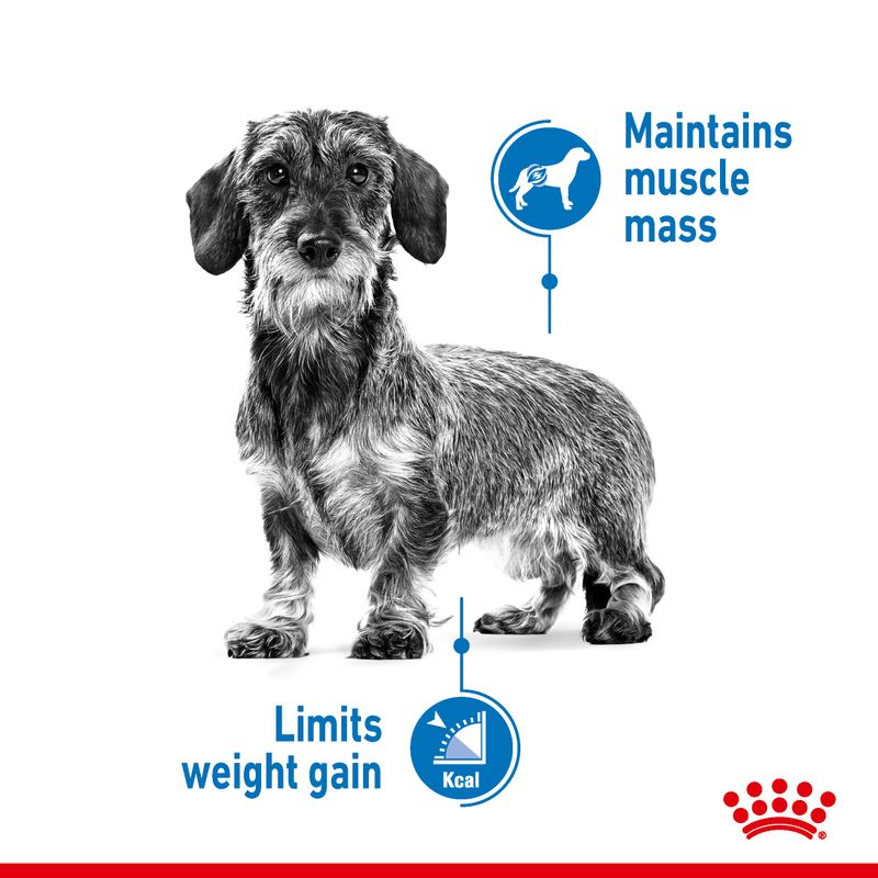 Royal Canin Mini Light Weight Care || Royal Canin Care Nutrition || view 5