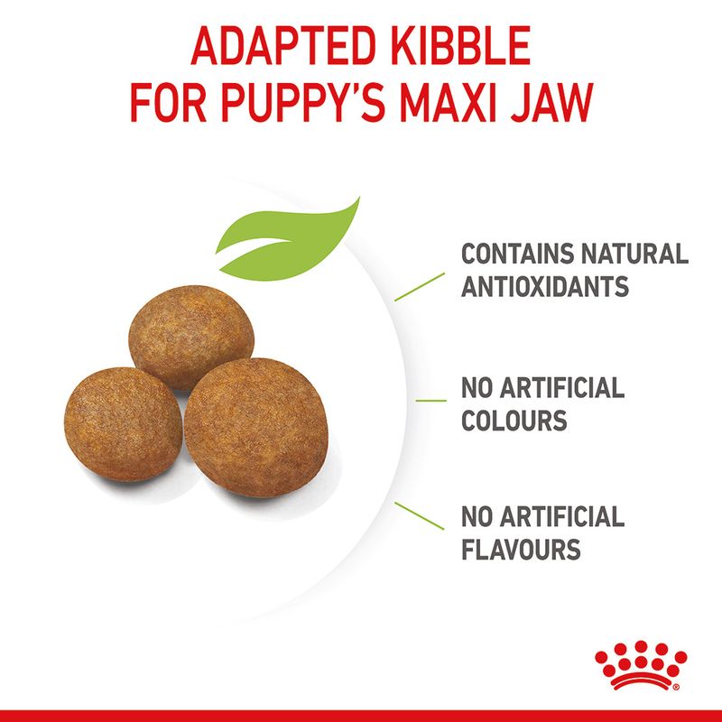 Royal Canin Maxi Puppy || Royal Canin Size || view 7