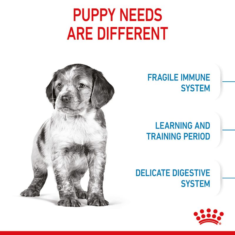 Royal Canin Medium Puppy || Royal Canin Size || view 6