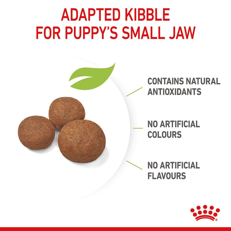 Royal Canin Medium Puppy || Royal Canin Size || view 8