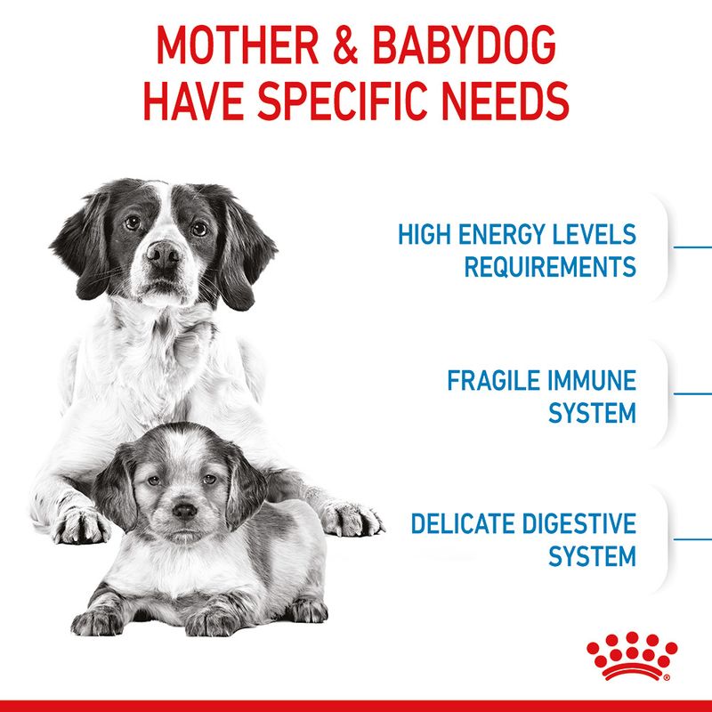 Royal Canin Medium Starter Mother & Babydog || Royal Canin Size || view 4