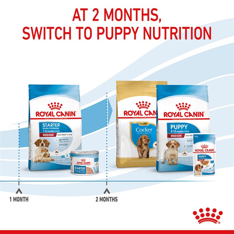 Royal Canin Medium Starter Mother & Babydog || Royal Canin Size || view 11