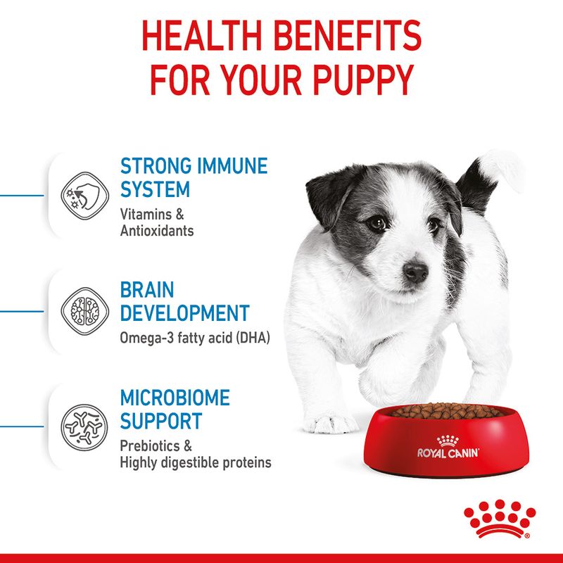 Royal Canin Mini Puppy || Royal Canin Size || view 6