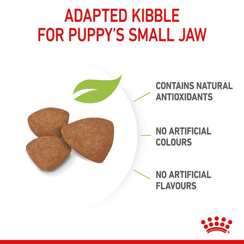 Royal Canin Mini Puppy || Royal Canin Size || view 7