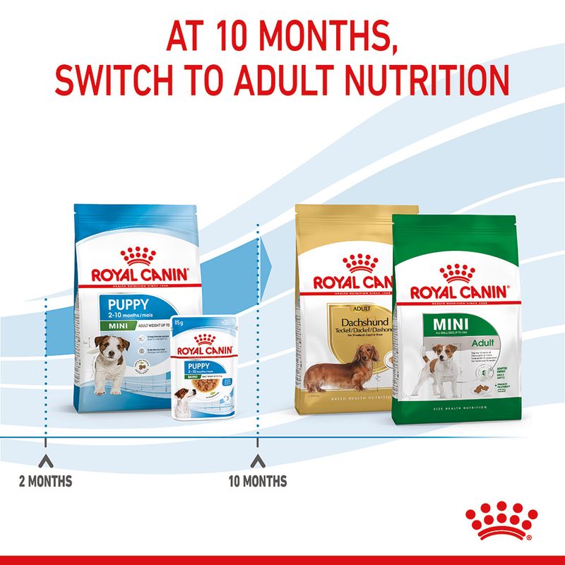 Royal Canin Mini Puppy || Royal Canin Size || view 12
