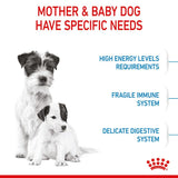 Royal Canin Mini Starter Mother & Babydog || Royal Canin Size || view 5