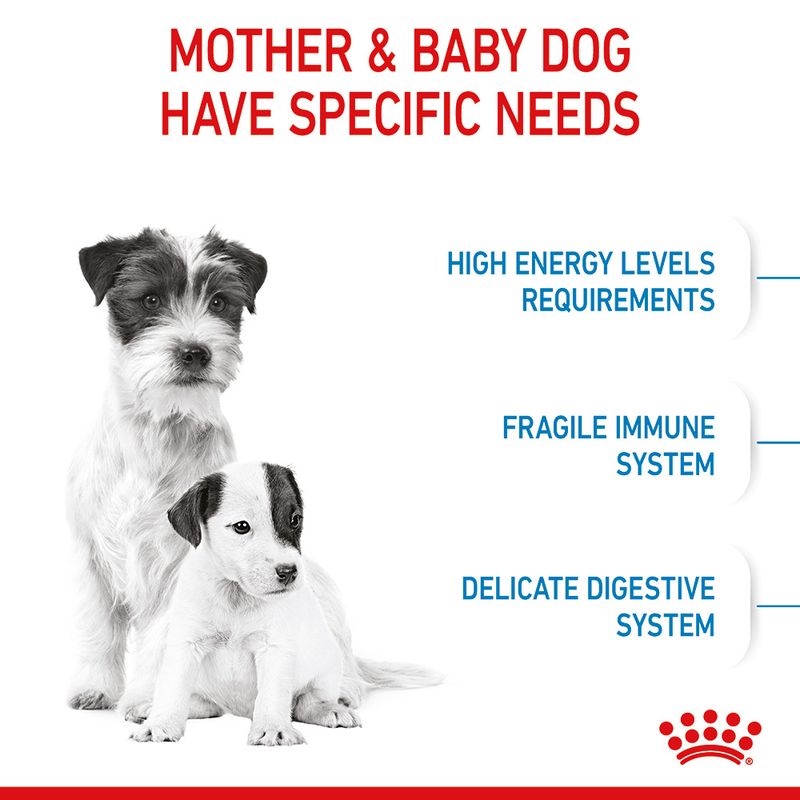 Royal Canin Mini Starter Mother & Babydog || Royal Canin Size || view 5