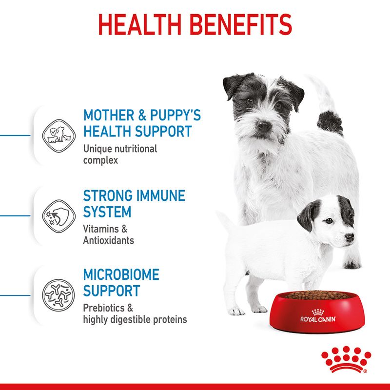 Royal Canin Mini Starter Mother & Babydog || Royal Canin Size || view 6