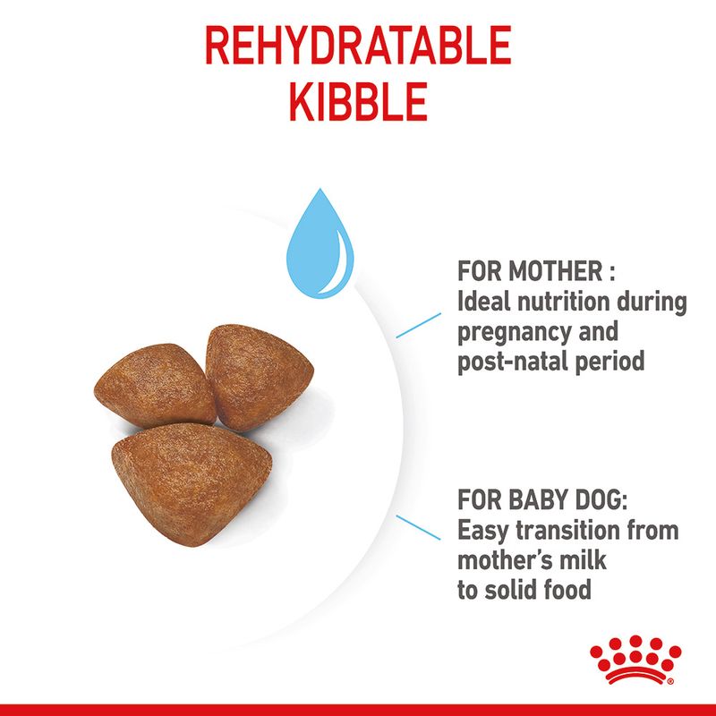 Royal Canin Mini Starter Mother & Babydog || Royal Canin Size || view 7