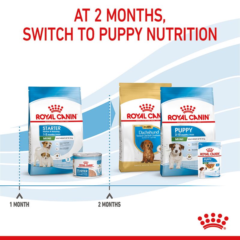 Royal Canin Mini Starter Mother & Babydog || Royal Canin Size || view 12