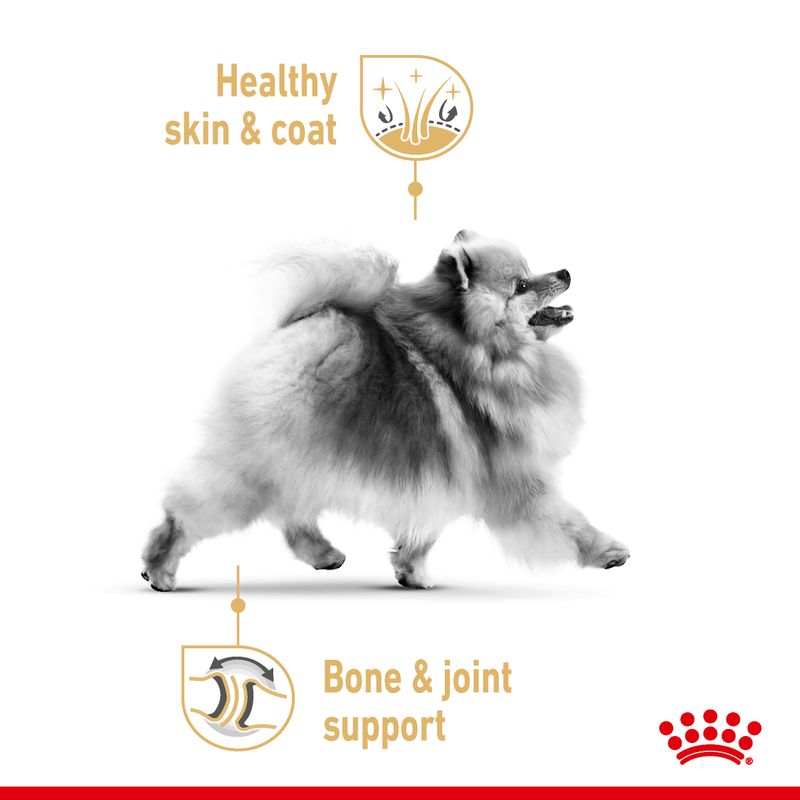 Royal Canin Pomeranian Adult || Royal Canin Breed || view 3