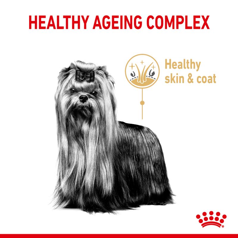 Royal Canin Yorkshire Terrier Adult 8+ || Royal Canin Breed || view 3