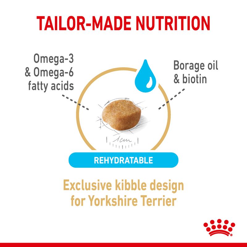 Royal Canin Yorkshire Terrier Adult 8+ || Royal Canin Breed || view 4