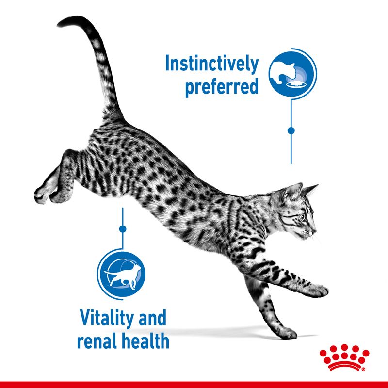 Royal Canin Indoor Sterilised 7+ in Gravy || Royal Canin || view 4