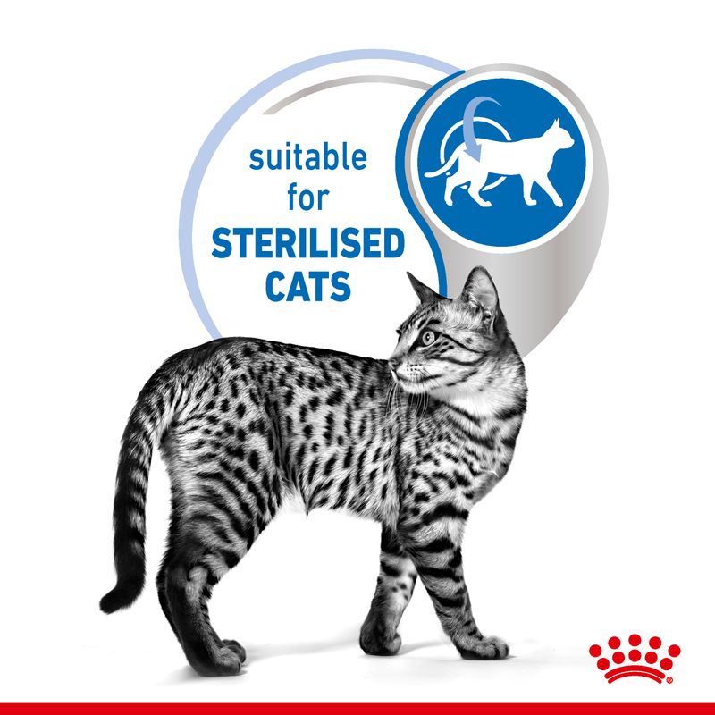 Royal Canin Indoor Sterilised 7+ in Gravy || Royal Canin || view 5