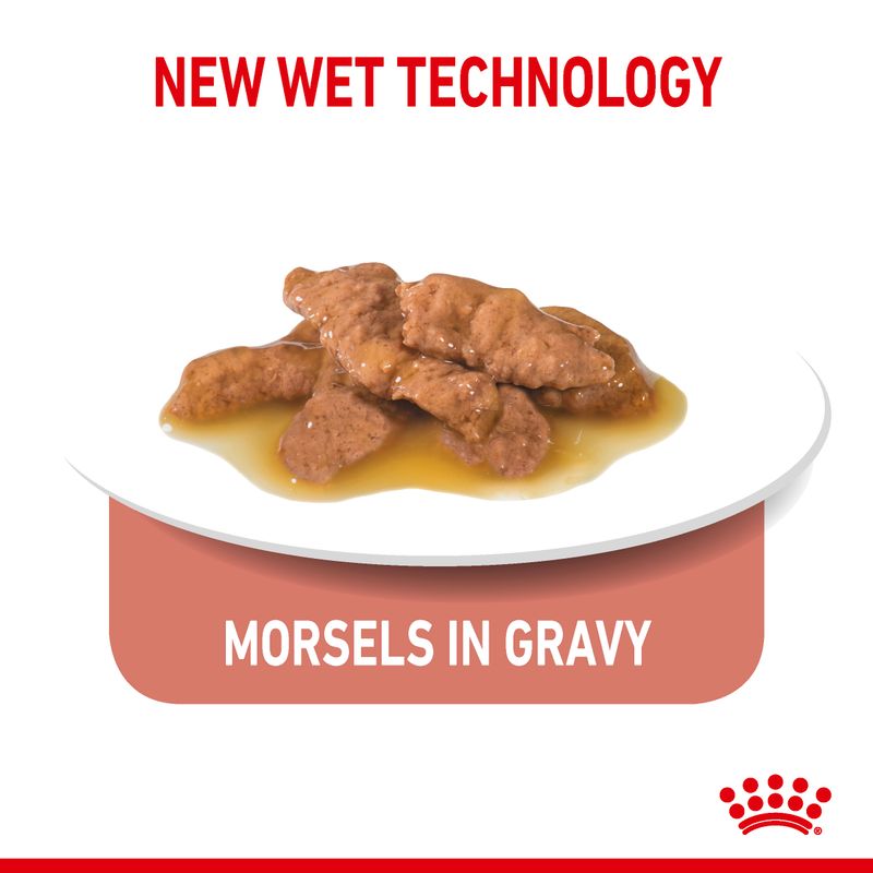 Royal Canin Indoor Sterilised 7+ in Gravy || Royal Canin || view 3