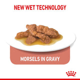 Royal Canin Indoor Sterilised in Gravy || undefined || view 3