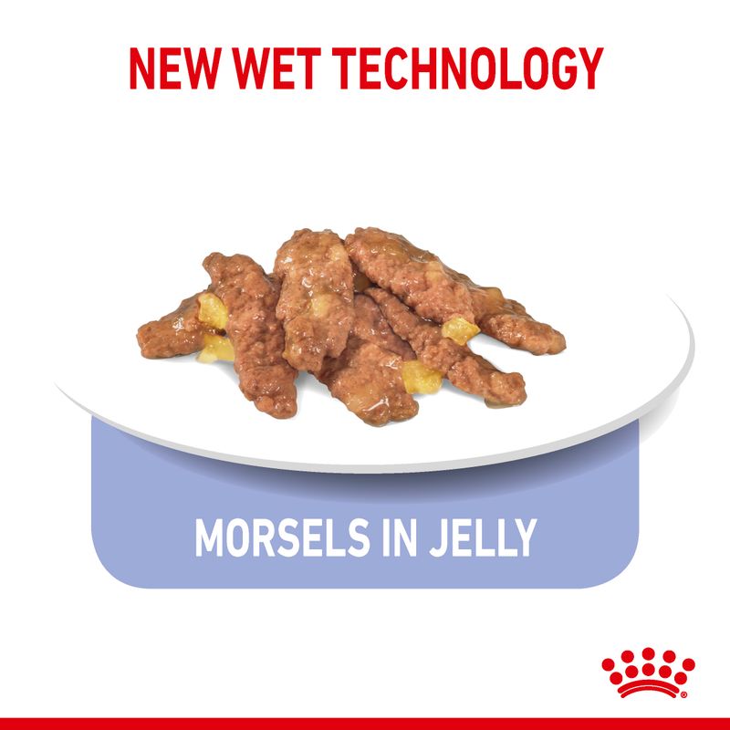Royal Canin Indoor Sterilised in Jelly || undefined || view 3