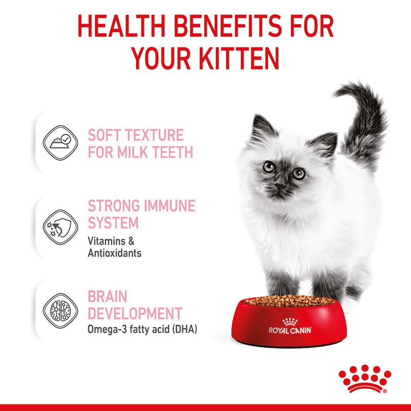 Royal Canin Kitten in Gravy || undefined || view 7
