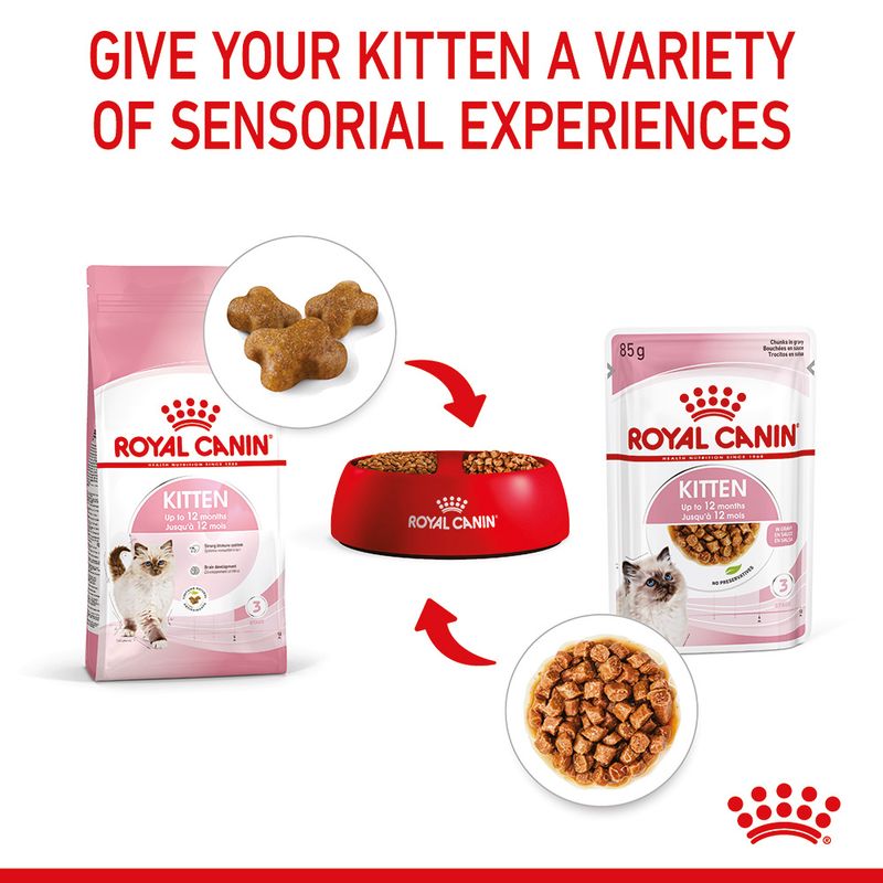 Royal Canin Kitten in Gravy || undefined || view 8