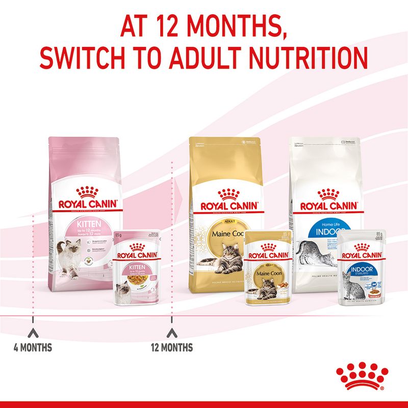 Royal Canin Kitten in Jelly || undefined || view 9
