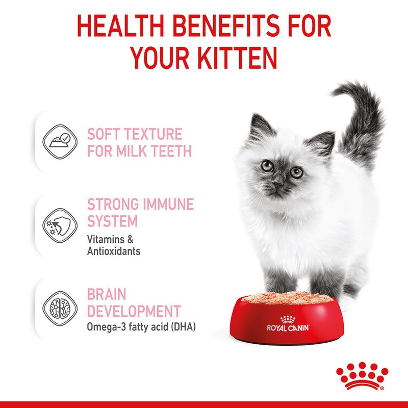 Royal Canin Kitten in Loaf || undefined || view 6