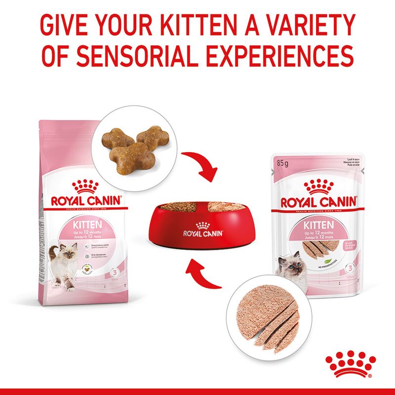 Royal Canin Kitten in Loaf || undefined || view 7
