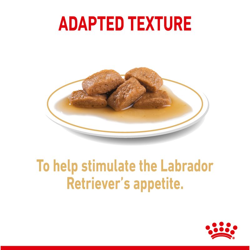 Royal Canin Labrador Retriever Adult in Gravy || Royal Canin Breed || view 4