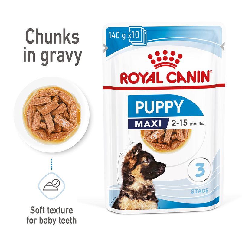 Royal Canin Maxi Puppy in Gravy || Royal Canin Size || view 1