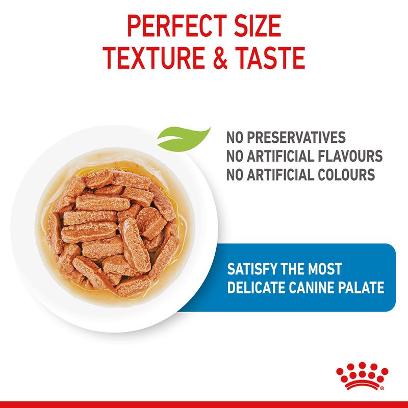 Royal Canin Medium Puppy in Gravy || Royal Canin Size || view 5
