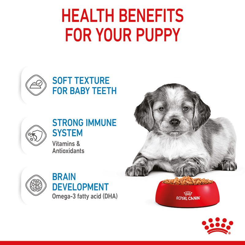 Royal Canin Medium Puppy in Gravy || Royal Canin Size || view 6