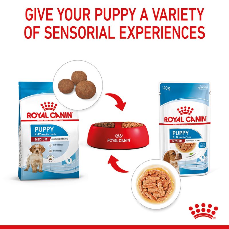 Royal Canin Medium Puppy in Gravy || Royal Canin Size || view 7