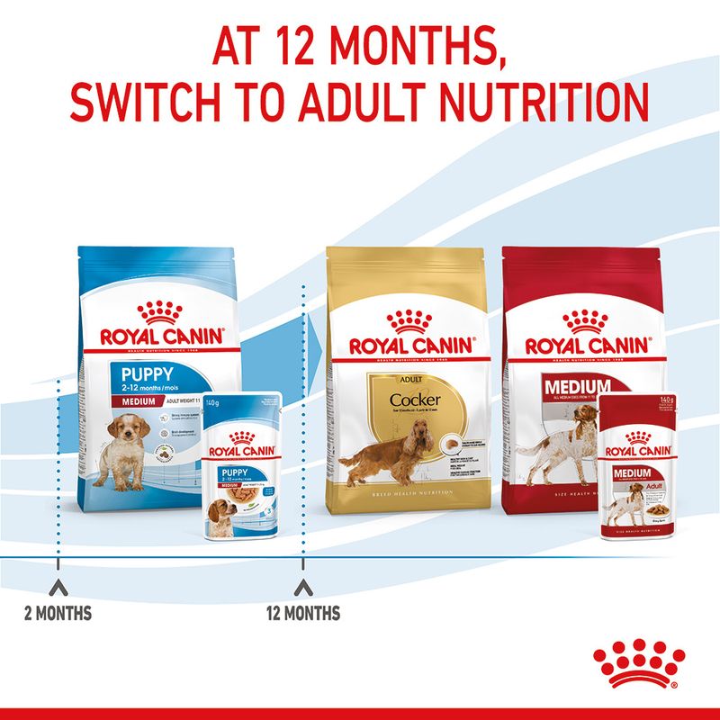 Royal Canin Medium Puppy in Gravy || Royal Canin Size || view 9