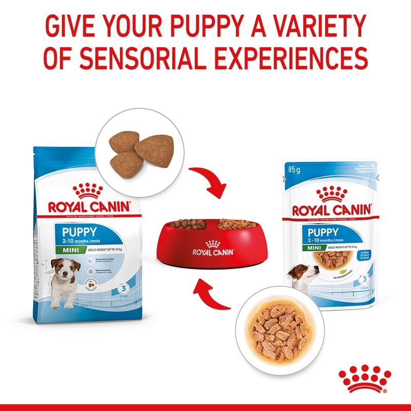 Royal Canin Mini Puppy in Gravy || Royal Canin Size || view 7