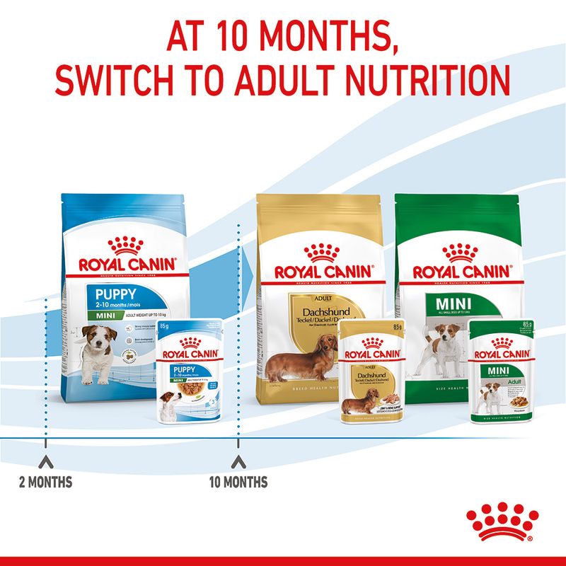 Royal Canin Mini Puppy in Gravy || Royal Canin Size || view 9