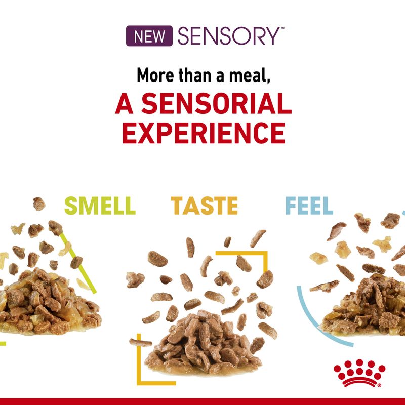Royal Canin Sensory Feel in Gravy || undefined || view 4