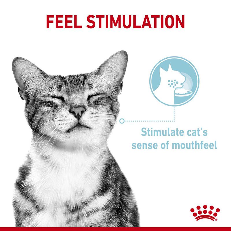 Royal Canin Sensory Feel in Jelly || Royal Canin || view 4