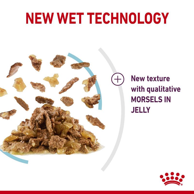 Royal Canin Sensory Feel in Jelly || Royal Canin || view 6