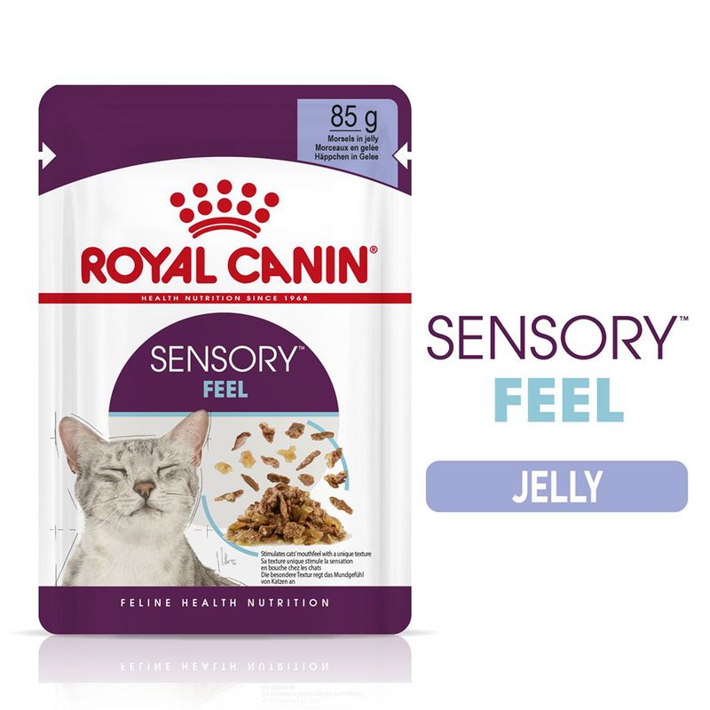 Royal Canin Sensory Feel in Jelly || Royal Canin || view 1