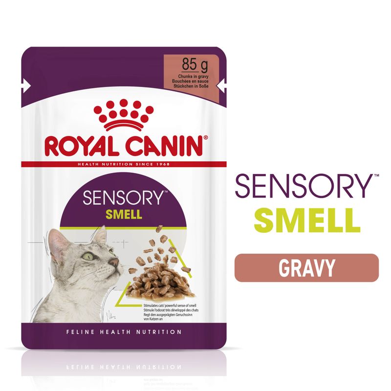 Royal Canin Sensory Smell in Gravy || undefined || view 2