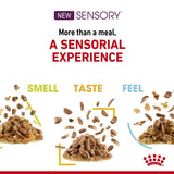 Royal Canin Sensory Smell in Gravy || undefined || view 4