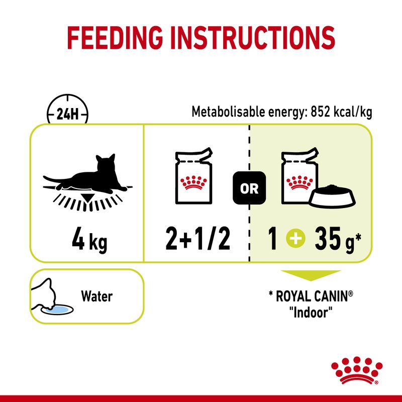 Royal Canin Sensory Smell in Gravy || undefined || view 7