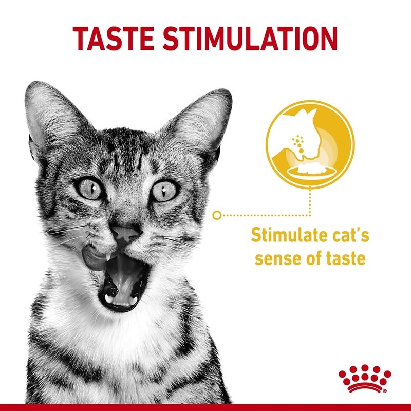 Royal Canin Sensory Taste in Gravy || undefined || view 3