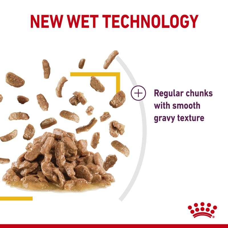 Royal Canin Sensory Taste in Gravy || undefined || view 5
