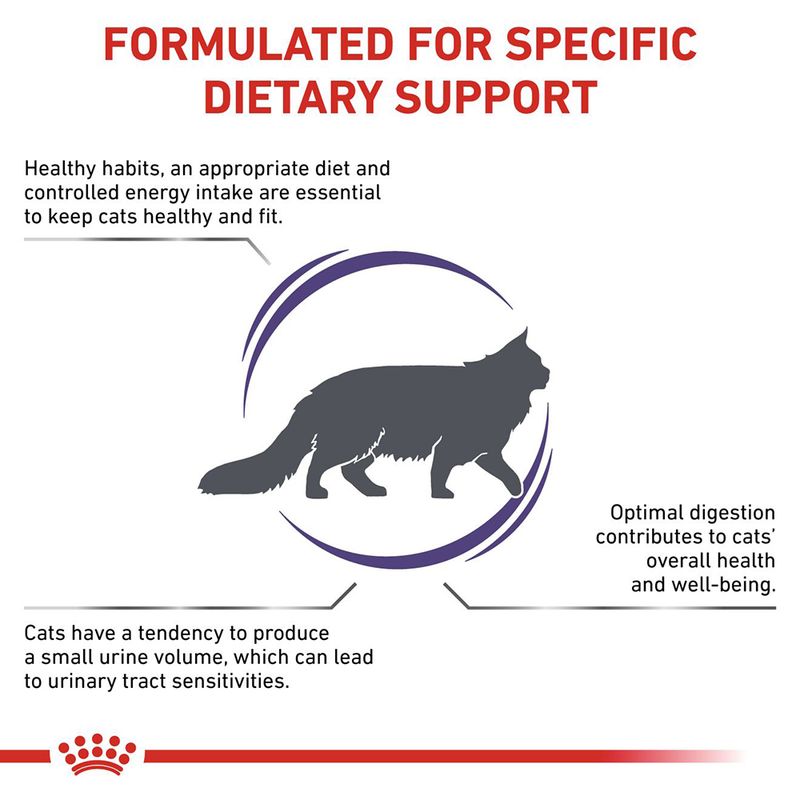 Royal Canin Expert Feline Adult || Royal Canin Veterinary Diet || view 3