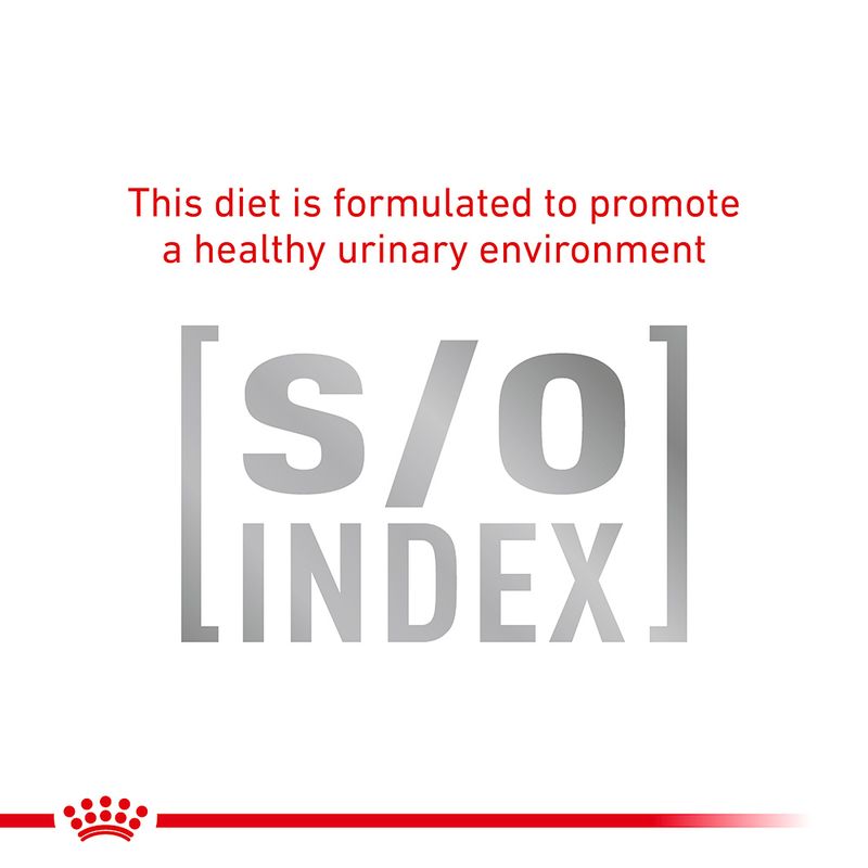 Royal Canin Veterinary Cat - Anallergenic || Royal Canin Veterinary Diet || view 4