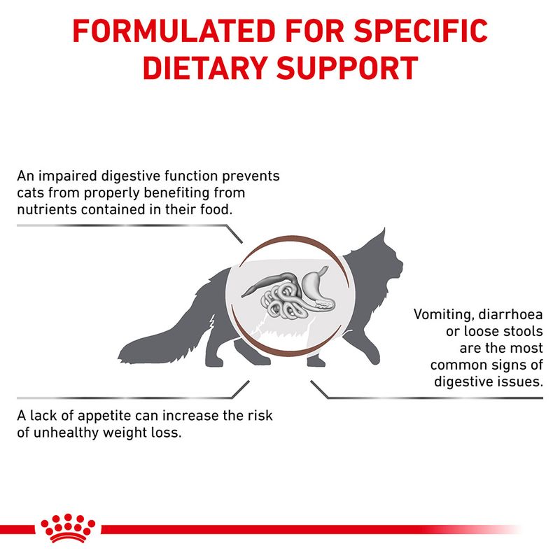 Royal Canin Veterinary Cat - Gastrointestinal || Royal Canin Veterinary Diet || view 4